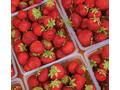 sh_strawberries_hr